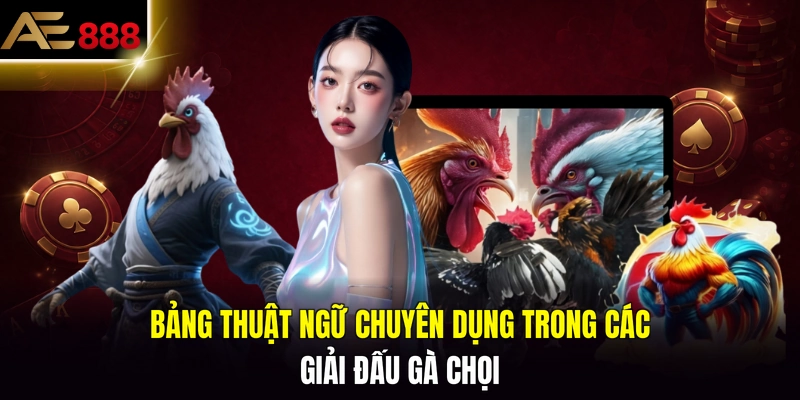 Bảng thuật ngữ chuyên dụng trong các giải đấu gà chọi