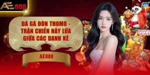 Đá Gà Đòn Thomo - Trận Chiến Nảy Lửa Giữa Các Danh Kê