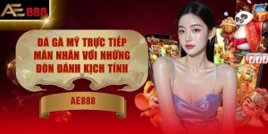 Đá Gà Mỹ Trực Tiếp Mãn Nhãn Với Những Đòn Đánh Kịch Tính