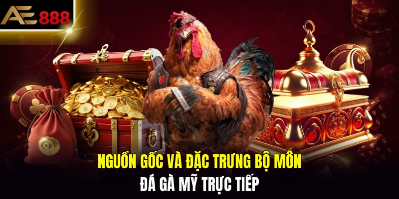 Nguồn gốc và đặc trưng bộ môn đá gà Mỹ trực tiếp