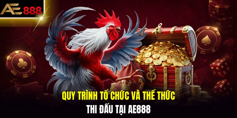 Quy trình tổ chức và thể thức thi đấu tại AE888