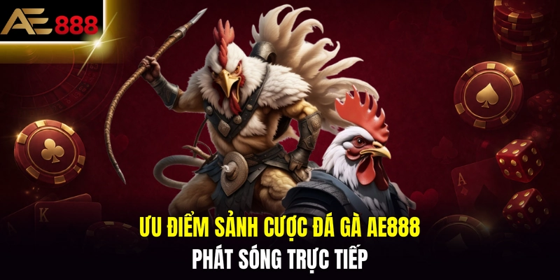 Ưu điểm sảnh cược đá gà AE888 phát sóng trực tiếp